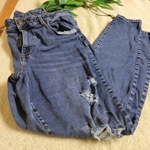 Maurice's High Rise 18W